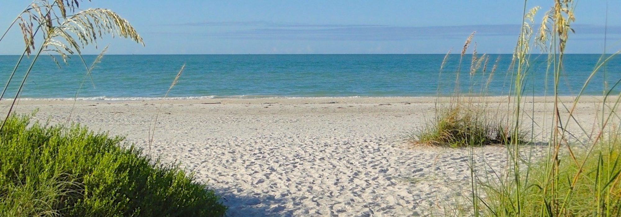 Beach 2000x700