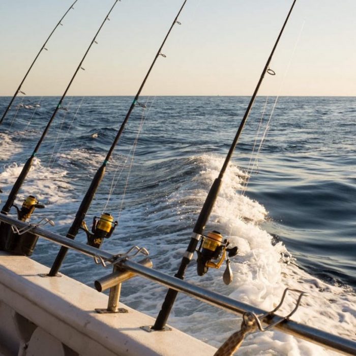 fishing poles on a boat