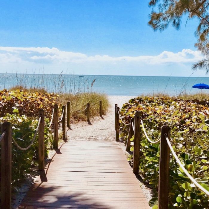 beach trail through sea grapes-1024x1024