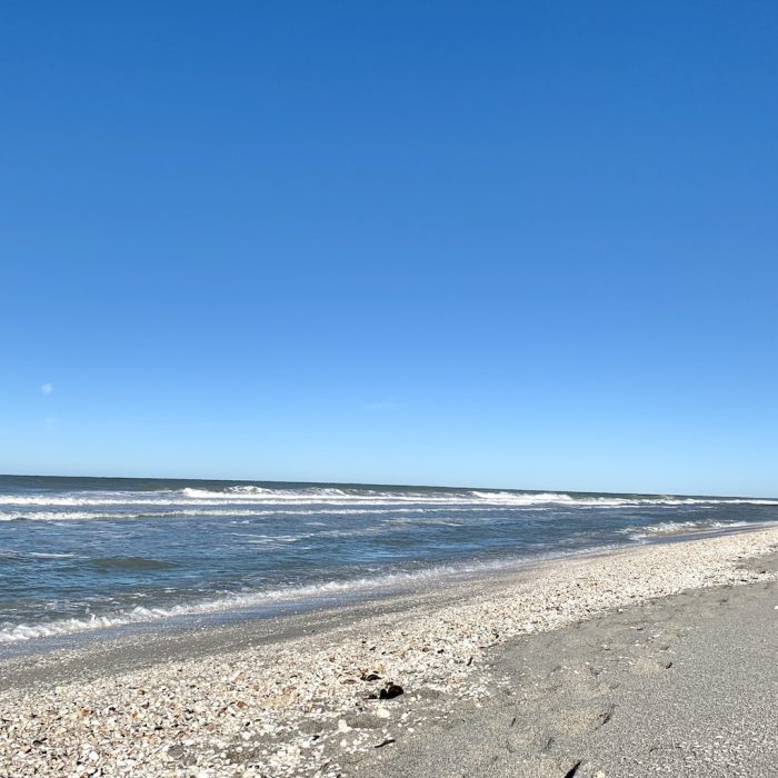 Coastline on the gulf